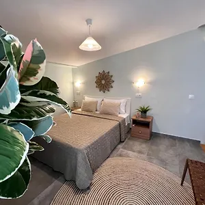 https://alexanika-apartments.hotelschalkidiki.net